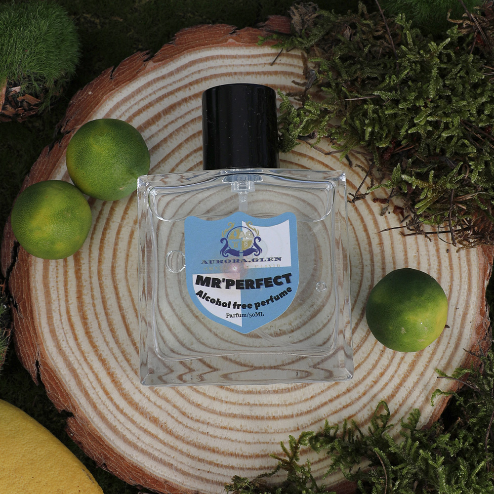 Blue men's perfume, lasting fr - огляд і ціна Creed Aventus Dupe